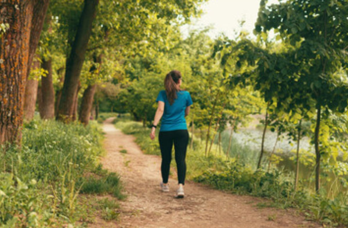 Lyme Disease Test